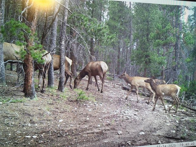 1101 County Road 99, Black Hawk, CO 80422