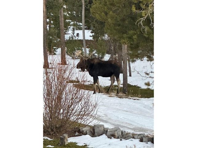 1101 County Road 99, Black Hawk, CO 80422