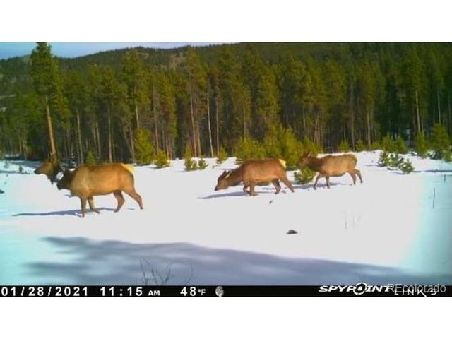 1101 County Road 99, Black Hawk, CO 80422