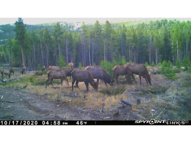 1101 County Road 99, Black Hawk, CO 80422