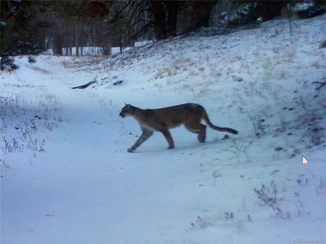 1101 County Road 99, Black Hawk, CO 80422