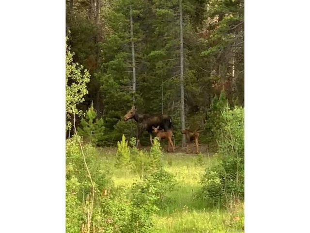 1101 County Road 99, Black Hawk, CO 80422