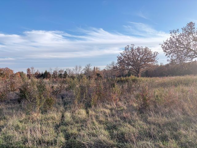 000 County Road 8530, West Plains, MO 65775