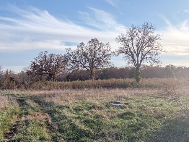 000 County Road 8530, West Plains, MO 65775