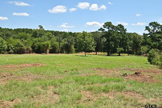 391 County Road 3254, Quitman, TX 75783
