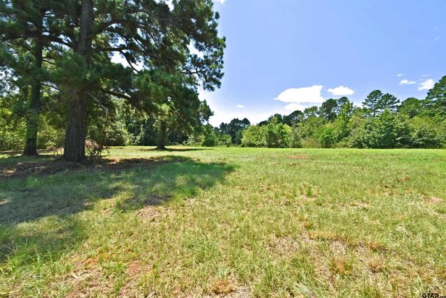 391 County Road 3254, Quitman, TX 75783