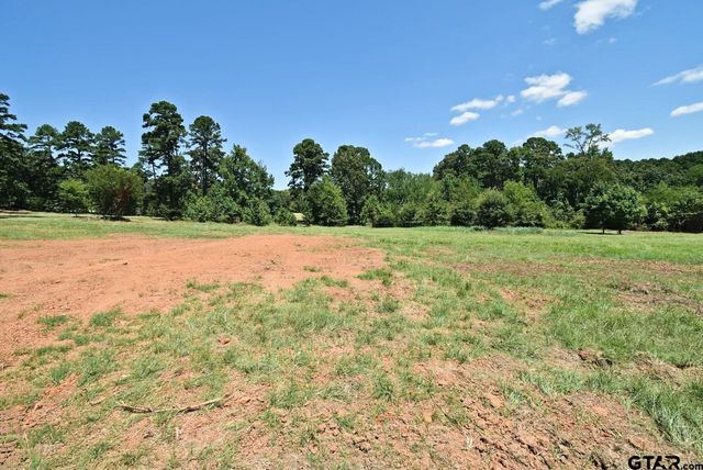 391 County Road 3254, Quitman, TX 75783