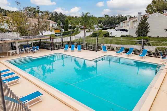 16218 RAMBLING VINE DRIVE W, Tampa, FL 33624