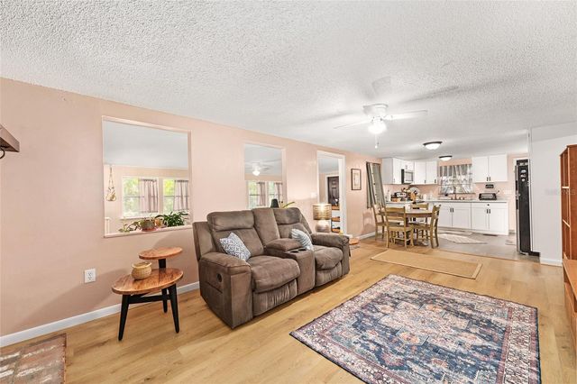 25140 NE 133RD PLACE, Salt Springs, FL 32134