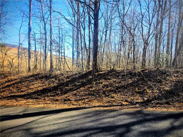 TBD Cowart Mountain Tract 1 Road, Jasper, GA 30143