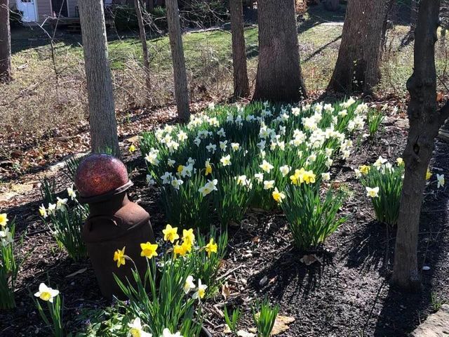 13841 Hadley Street, Overland Park, KS 66223