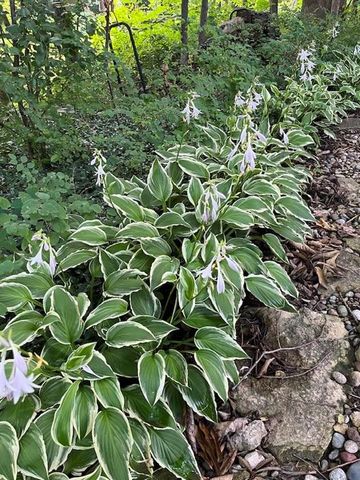 13841 Hadley Street, Overland Park, KS 66223