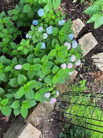 13841 Hadley Street, Overland Park, KS 66223