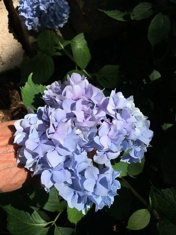 13841 Hadley Street, Overland Park, KS 66223