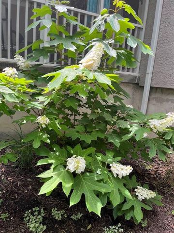 13841 Hadley Street, Overland Park, KS 66223