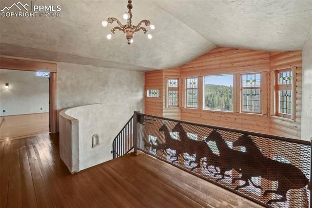 514 Hopi Drive, Divide, CO 80814