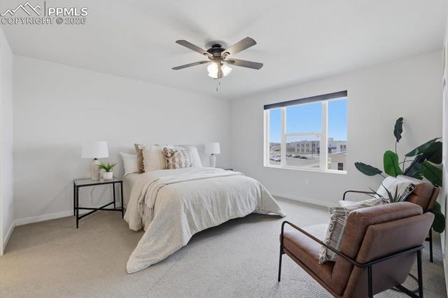 8648 Wolf Valley Drive, Colorado Springs, CO 80924