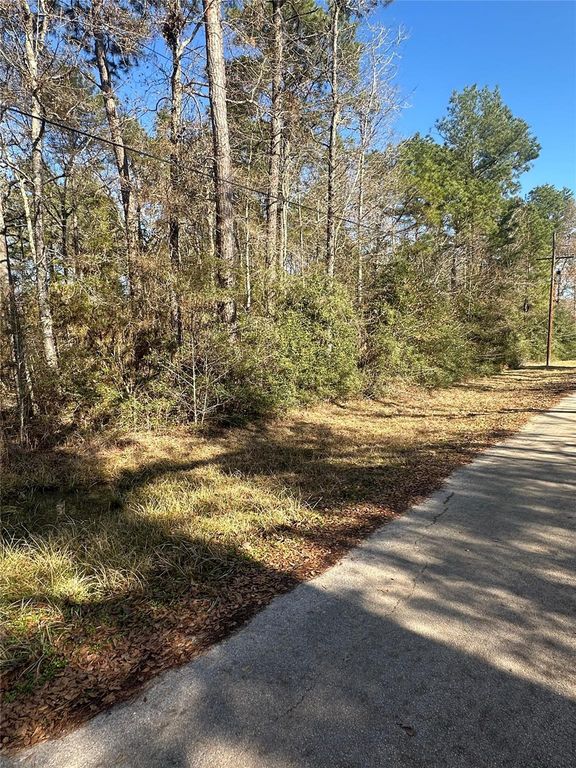 9980 Oak Tree Drive, Conroe, TX 77303