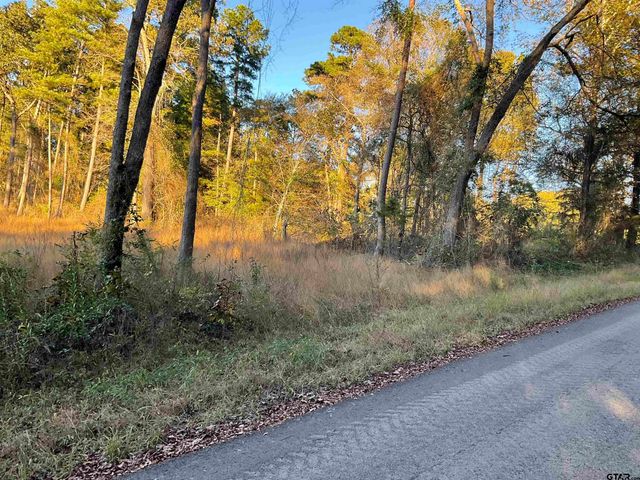 13805 CR 291, Tyler, TX 75707