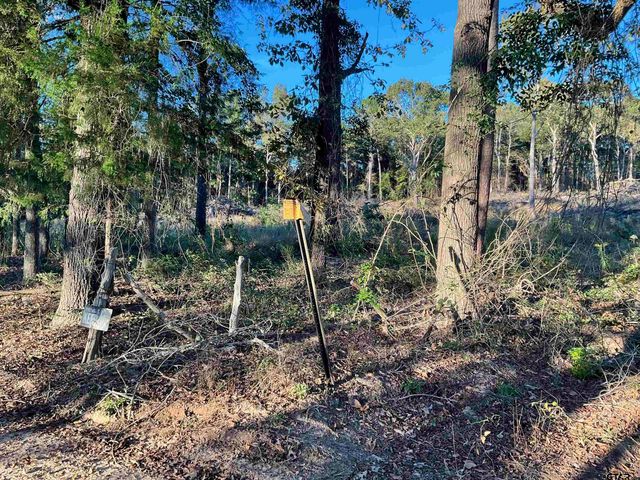 13805 CR 291, Tyler, TX 75707