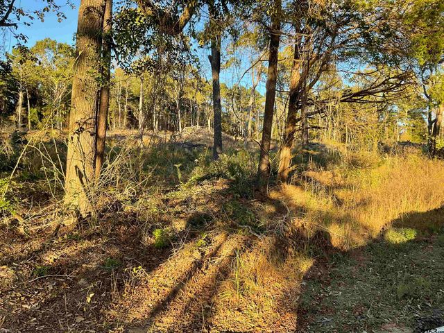 13805 CR 291, Tyler, TX 75707