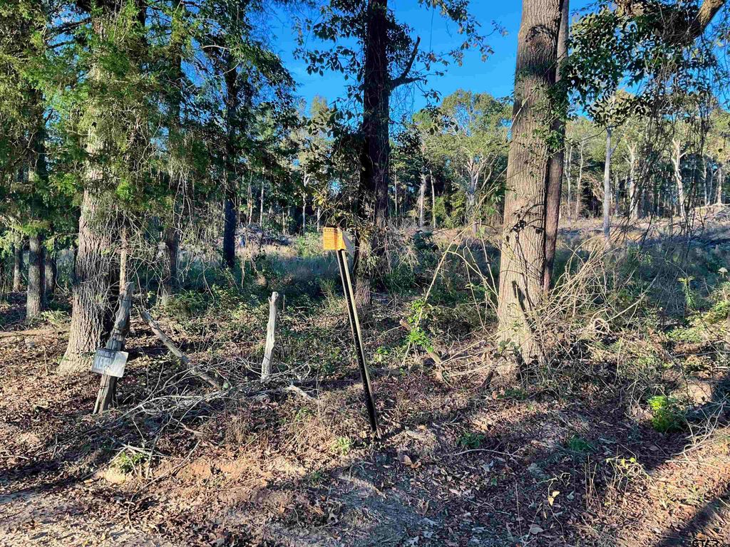 13805 CR 291, Tyler, TX 75707