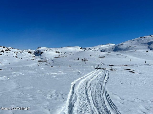 27394 S Baldy Bluff Drive, Talkeetna, AK 99676