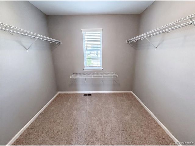 2450 Garganey Dr, Castle Rock, CO 80104