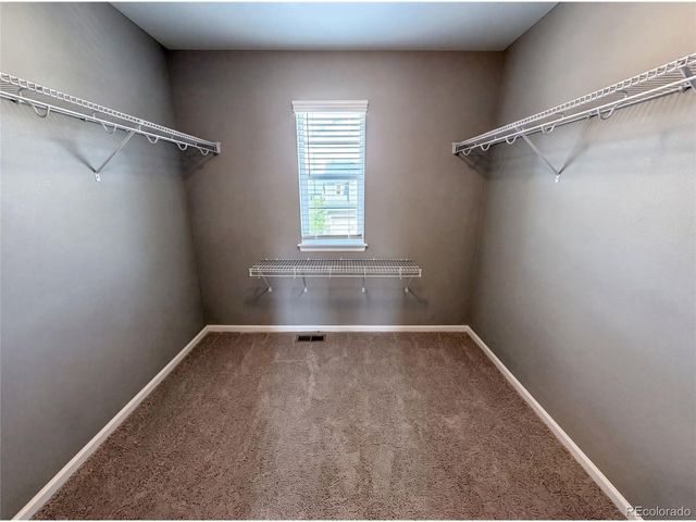 2450 Garganey Dr, Castle Rock, CO 80104