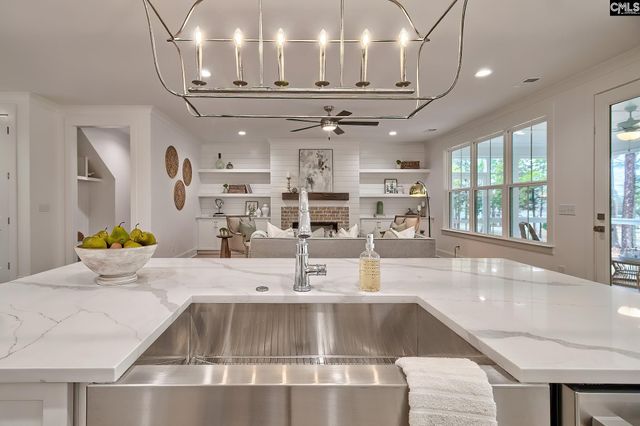 820 Elms Spinney Lane, Chapin, SC 29036