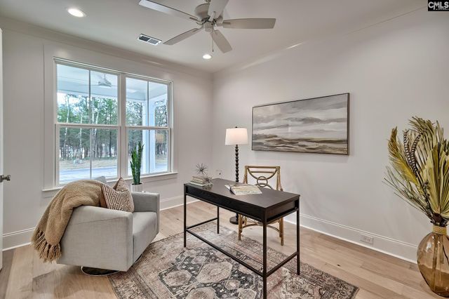 820 Elms Spinney Lane, Chapin, SC 29036