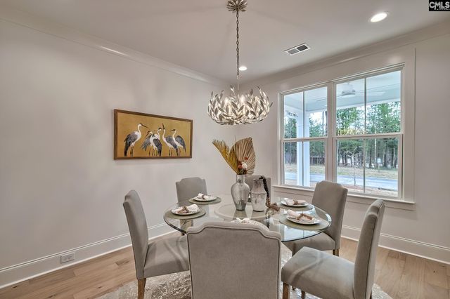 820 Elms Spinney Lane, Chapin, SC 29036