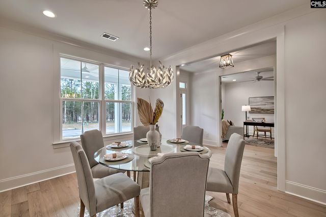 820 Elms Spinney Lane, Chapin, SC 29036