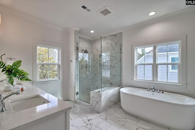 820 Elms Spinney Lane, Chapin, SC 29036