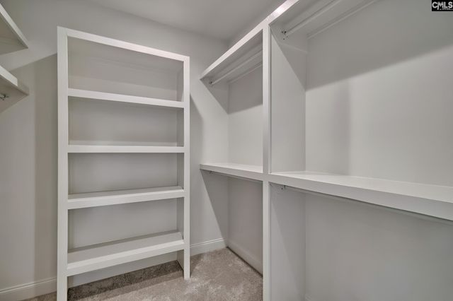 820 Elms Spinney Lane, Chapin, SC 29036