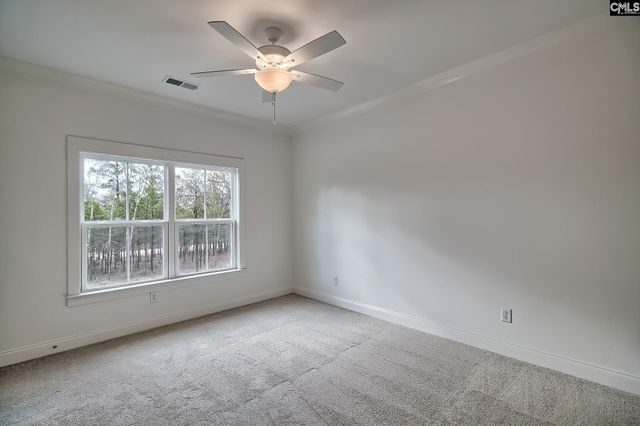 820 Elms Spinney Lane, Chapin, SC 29036