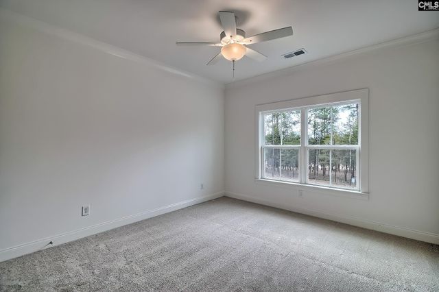 820 Elms Spinney Lane, Chapin, SC 29036