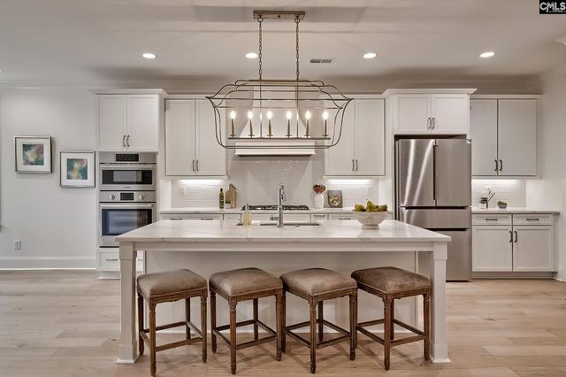 820 Elms Spinney Lane, Chapin, SC 29036