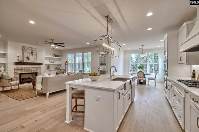 820 Elms Spinney Lane, Chapin, SC 29036