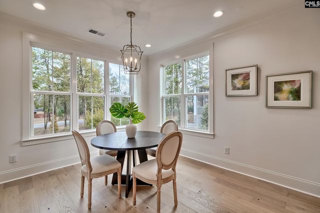 820 Elms Spinney Lane, Chapin, SC 29036