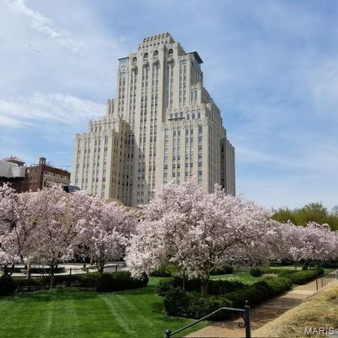 46 Carriage Lane, St Louis, MO 63108