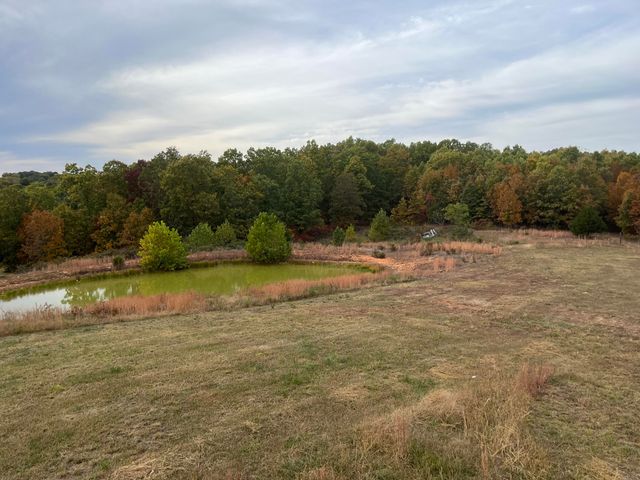 6548 Co, 529, Ava, MO 65608