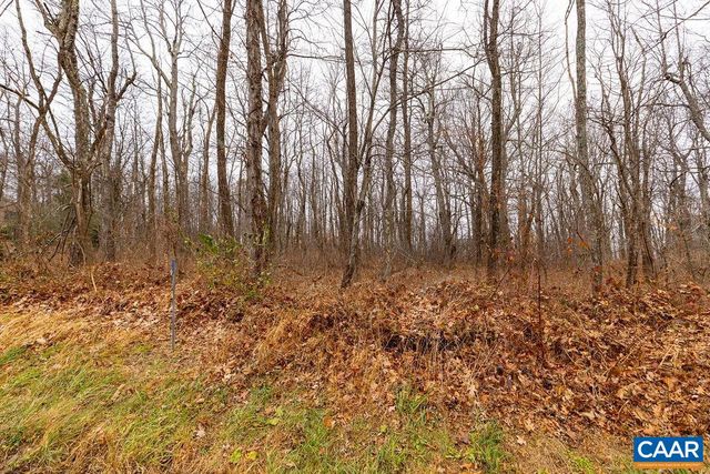 579 LAUREL SPRINGS DR, Wintergreen Resort, VA 22967