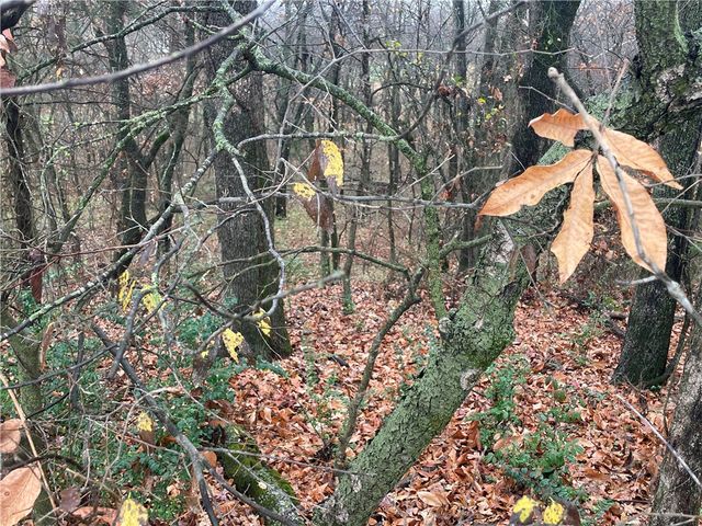 12129 Roy Jech Farm Road, Gentry, AR 72734