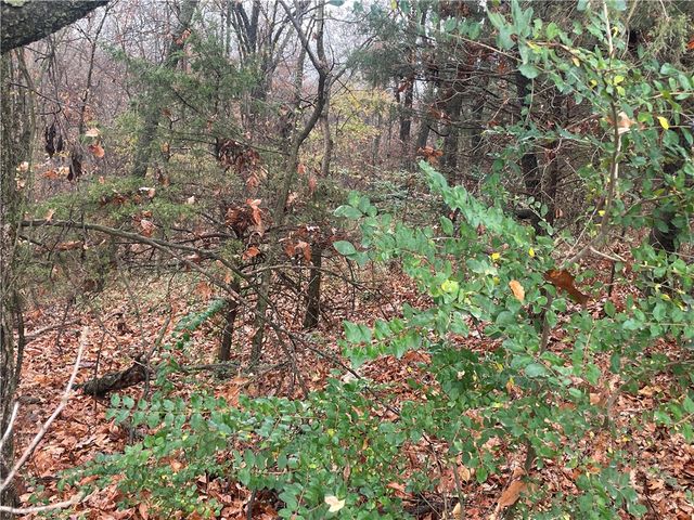 12129 Roy Jech Farm Road, Gentry, AR 72734