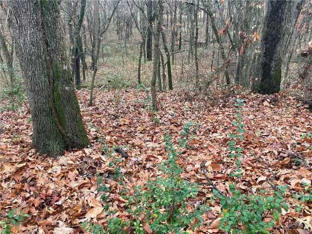 12129 Roy Jech Farm Road, Gentry, AR 72734