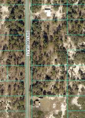 Tbd Lot 32 SW Lobelia Court, Dunnellon, FL 34431