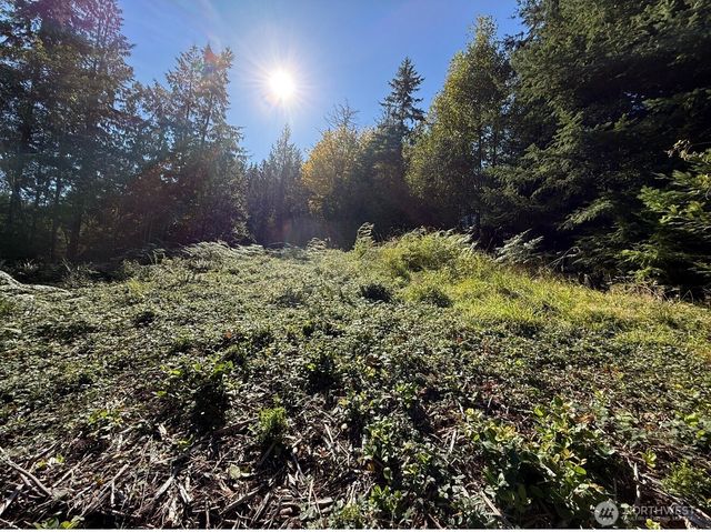 0 Chelsamish Drive, Sequim, WA 98382