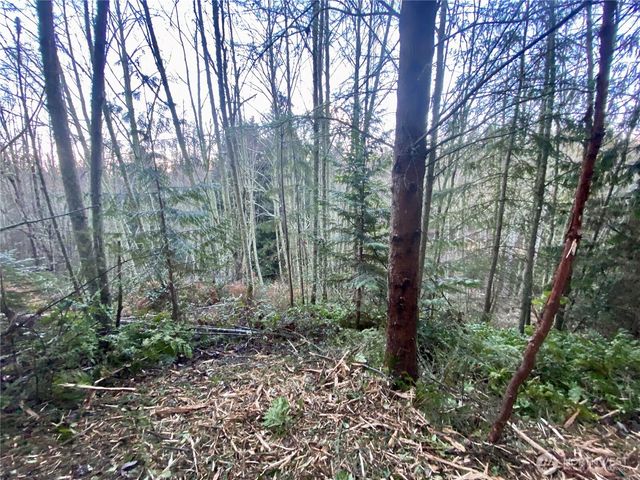 0 Chelsamish Drive, Sequim, WA 98382