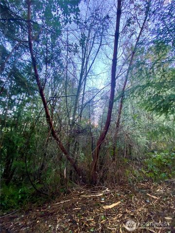 0 Chelsamish Drive, Sequim, WA 98382